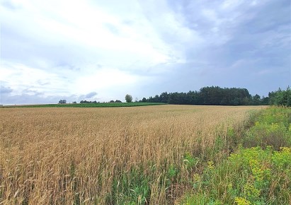 działka na sprzedaż - RUTKI, Rutki-Kossaki