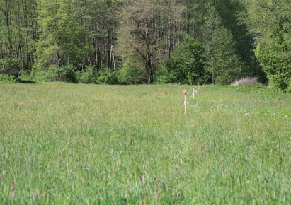 działka na sprzedaż - TUROŚŃ KOŚCIELNA, Trypucie